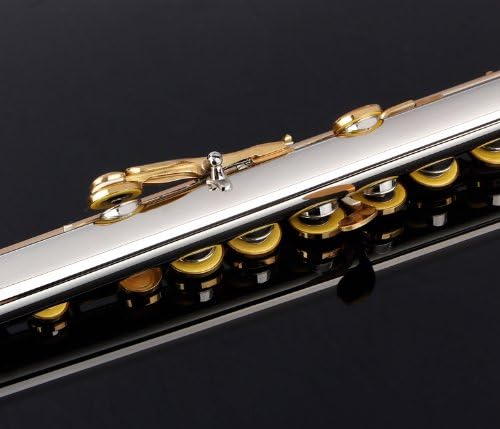 Glory Closed Hole C Flute With Case, Tuning Rod and Cloth and Gloves, Nickel/Laquer