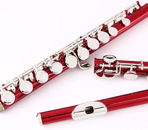 Glory Closed Hole C Flute With Case, Tuning Rod and Cloth and Gloves, Red