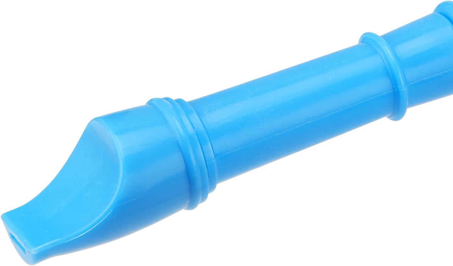 20 Pack 12 Inch Descant Soprano Recorder, 8 Hole Soprano Recorder Recorder Instrument with Cleaning Rod for Beginners, Blue