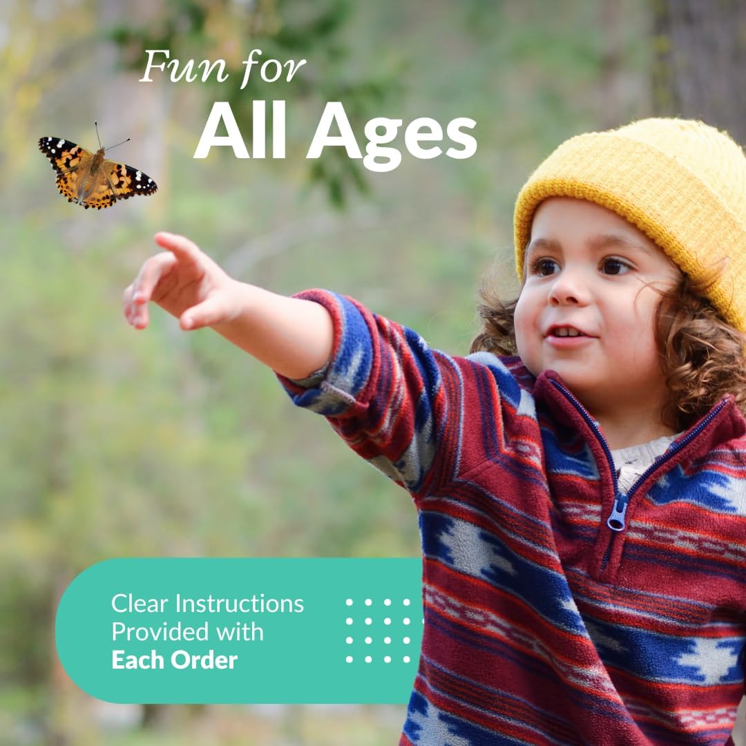 Clearwater Butterfly Live Painted Lady Butterflies - 5 Live Caterpillars - Live Caterpillars to Butterflies - Caterpillars for Butterfly Kit - Mesh Cage Not Included - Live Butterfly Kit - 5 Count