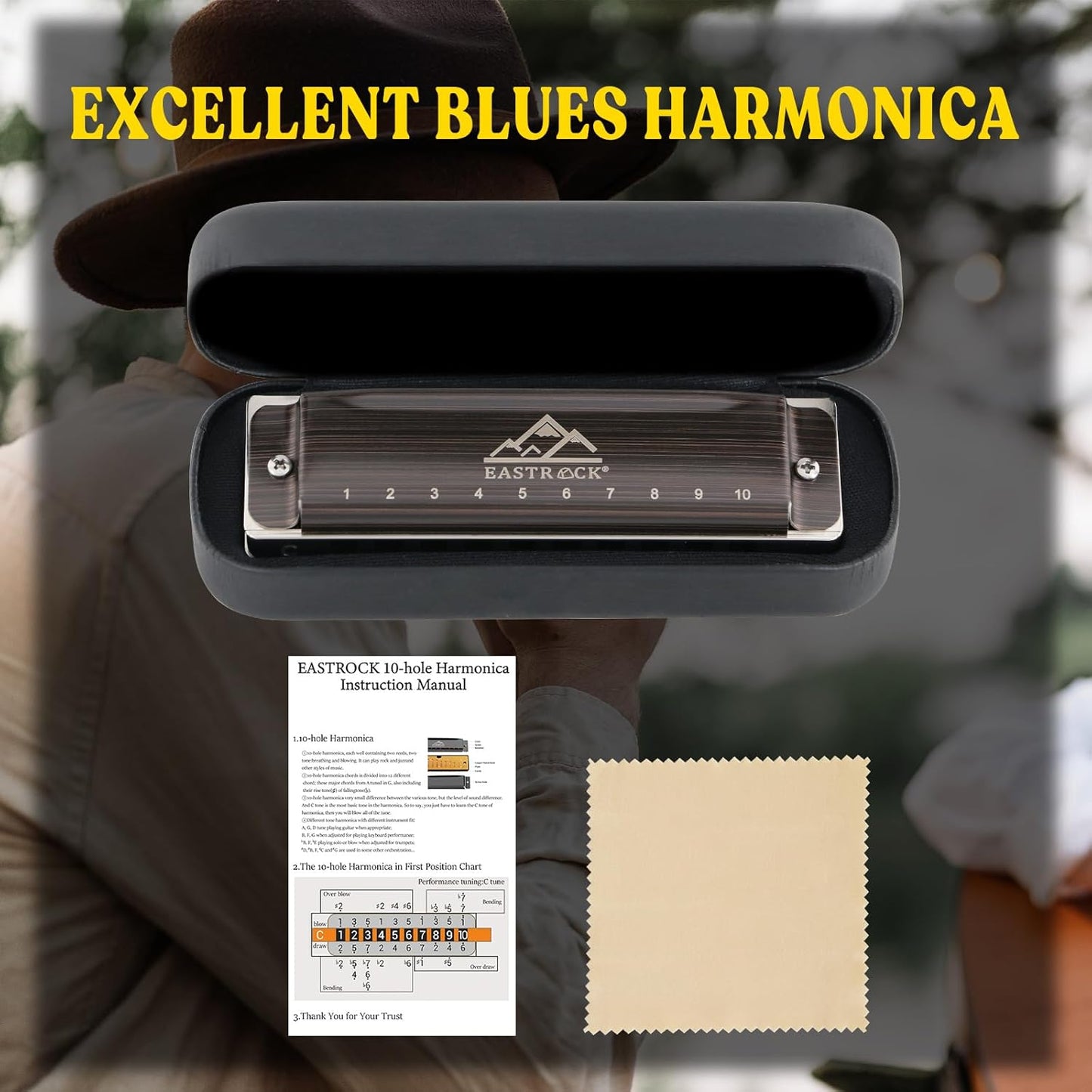 EastRock Harmonica, Blues Harmonica Mouth Organ 10 Hole C Key with Case, Diatonic Harmonica for Professional Player, Beginner, Students, Adult, Friends, Gifts(Brushed Metal)