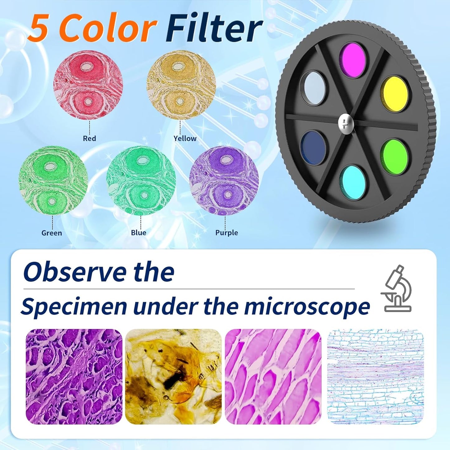 Microscope Magnification 40X-2500X WF25x Eyepieces, Dual LED Illumination, Microscope for Adults, Binocular Microscope for Schools, Homes, Labs, Education