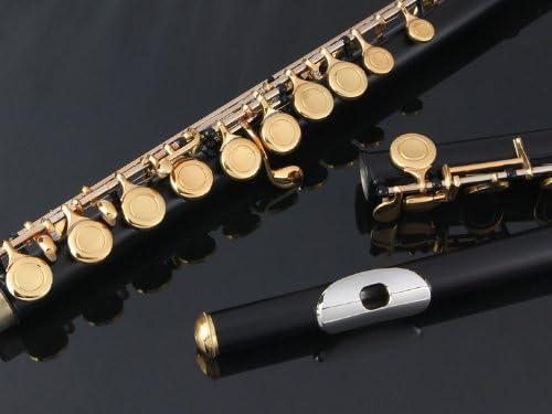 Glory Closed Hole C Flute With Case, Tuning Rod and Cloth and Gloves black/Laquer