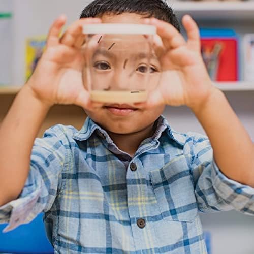 Insect Lore Cup Caterpillars - 5 Live Painted Lady Caterpillars with Food - Includes Figurines - Refill Kit for Butterfly Garden Habitat - STEM Science Activity for Kids and Classrooms