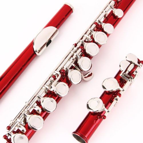 Glory Closed Hole C Flute With Case, Tuning Rod and Cloth and Gloves, Red