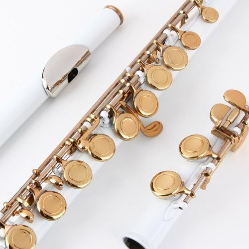 Glory Closed Hole C Flute With Case, Tuning Rod and Cloth and Gloves White/Laquer