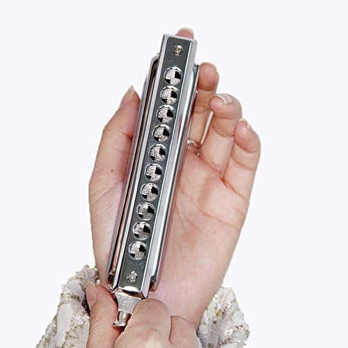 Swan SW1040 10 Hole 40 Tone C Key Chromatic Harmonica Adult Students Beginners Entry Professional Playing Variable Tone Instrument