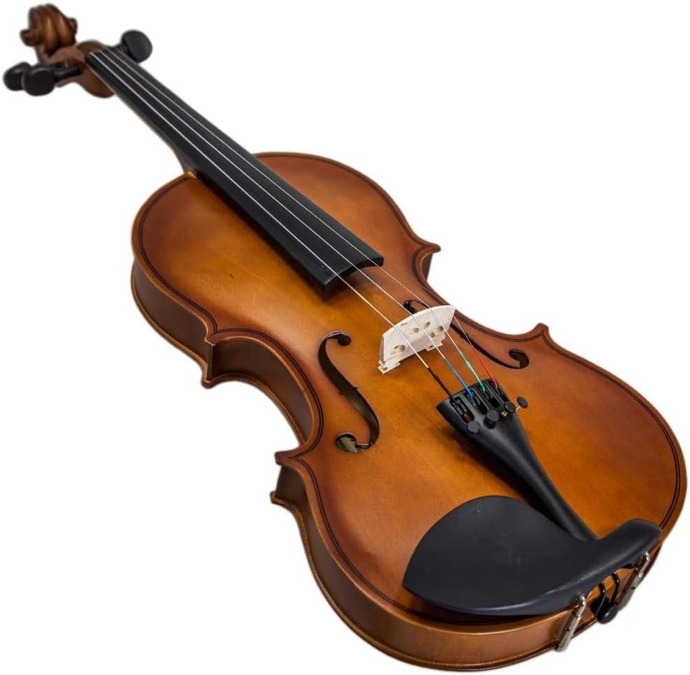 Paititi 1/2 Size Artist-100 Student Violin Starter Kit with Brazilwood Bow Lightweight Case, Shoulder Rest, Extra Strings and Rosin