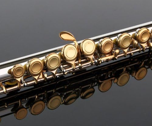 Glory Closed Hole C Flute With Case, Tuning Rod and Cloth and Gloves, Nickel/Laquer