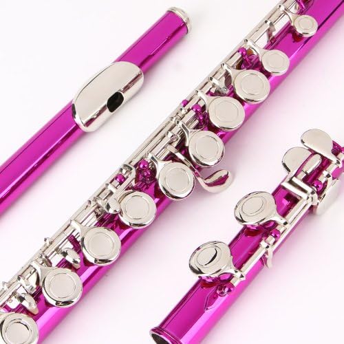 Glory Closed Hole C Flute With Case, Tuning Rod and Cloth and Gloves pink