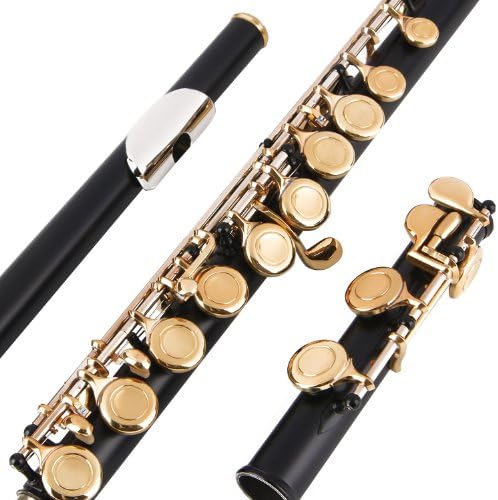 Glory Closed Hole C Flute With Case, Tuning Rod and Cloth and Gloves black/Laquer