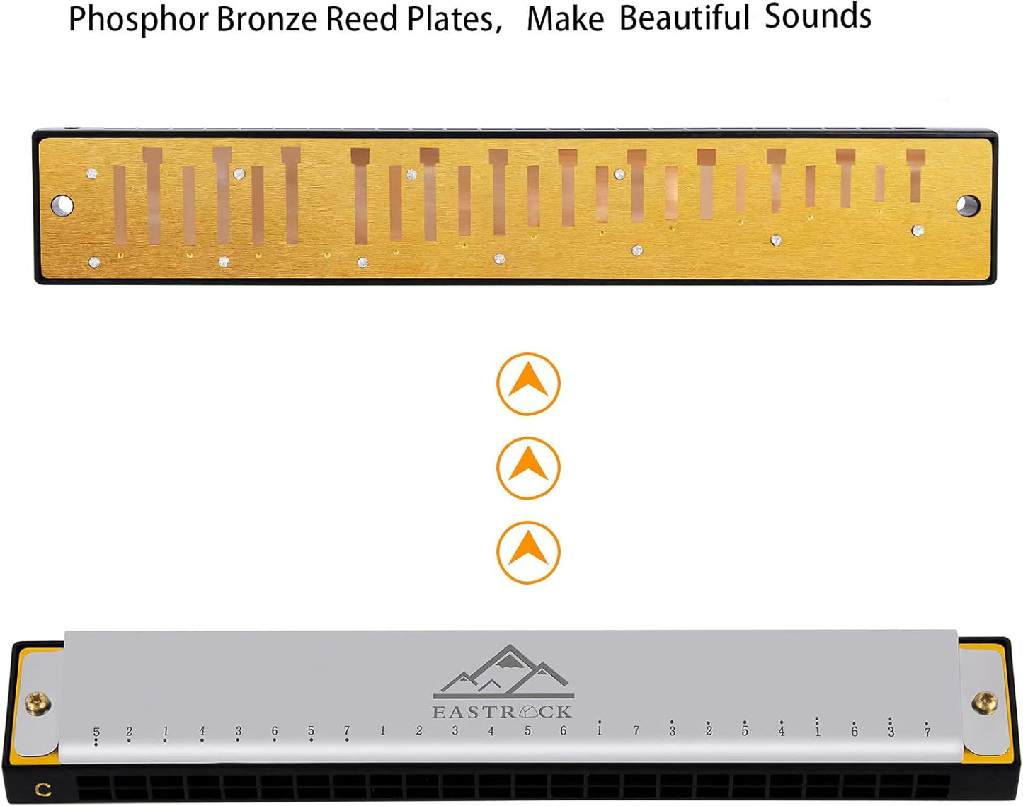 EastRock Blues Harmonica 24 Hole C Key with Case, Mouth Organ Harp, Diatonic Harmonica for Beginner, Adult, Professional, Students, Friends, Gifts