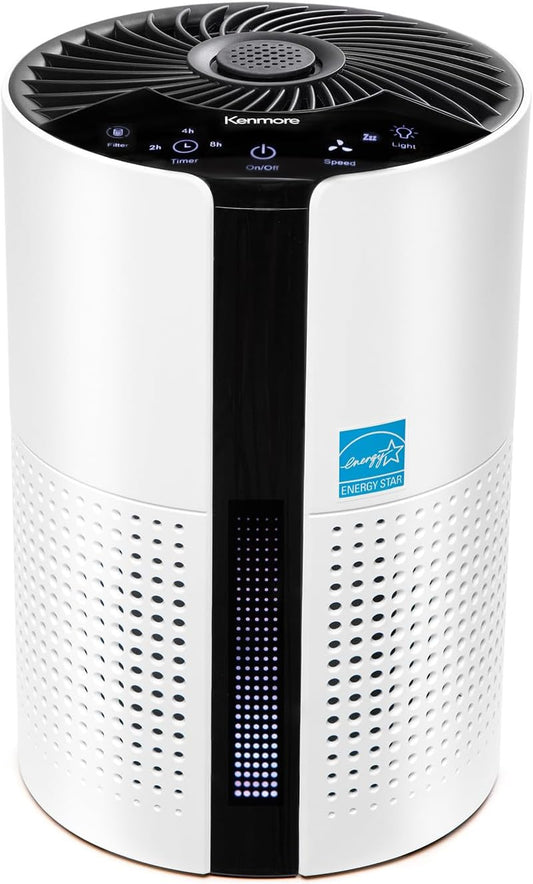 Kenmore PM1010 Air Purifiers for Bedroom Up to 348 Sq.Foot with H13 True HEPA Filter, Child Lock, Sleep Mode for Small Rooms