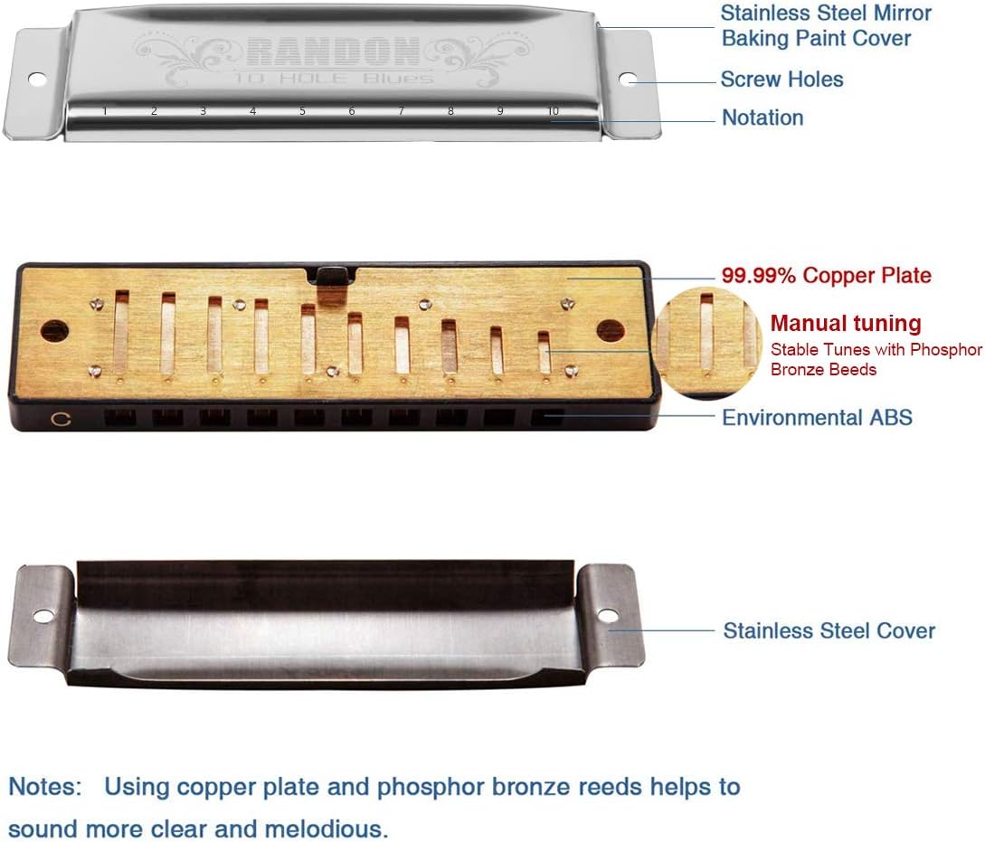 Randon Silver Harmonica Key of C, 10 Holes Diatonic Harmonicas for Adults/Kids/Beginners, Blues Harmonica as Gift, with Case, Clean Cloth and Manual