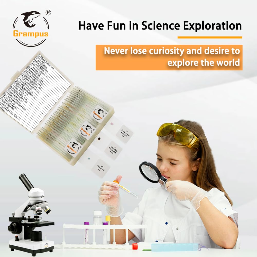 30 Prepared Microscope Slides with Specimens for Kids Students - Animals Plants Insects Microorganism, for Biological Science Lab, Children's Science Education, Homeschool