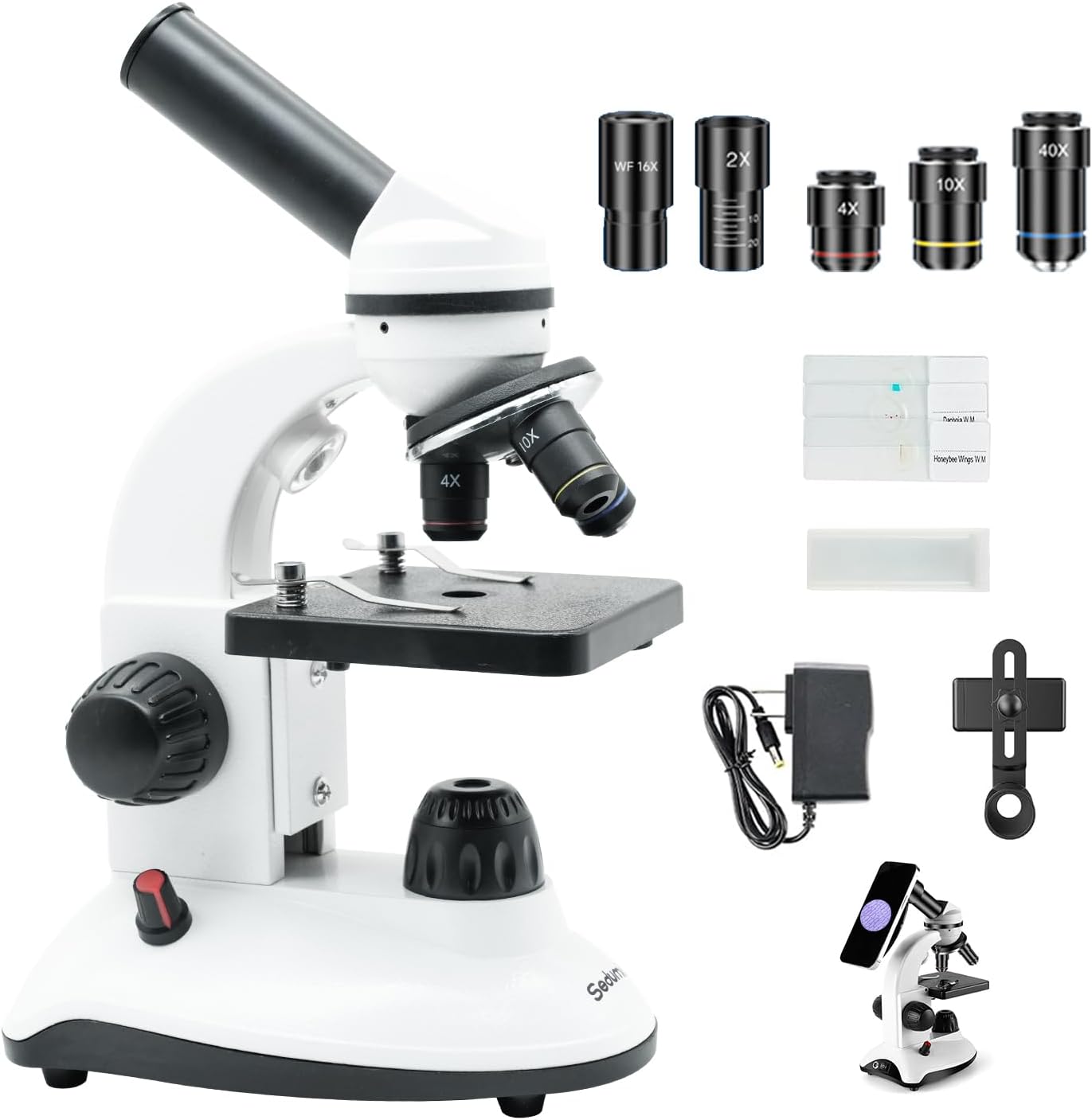 Microscope for Kids Starter Adults 64X-1280X Metal Monocular Microscope for Students School Home Education LED Lights Phone Holder Microscope Kit