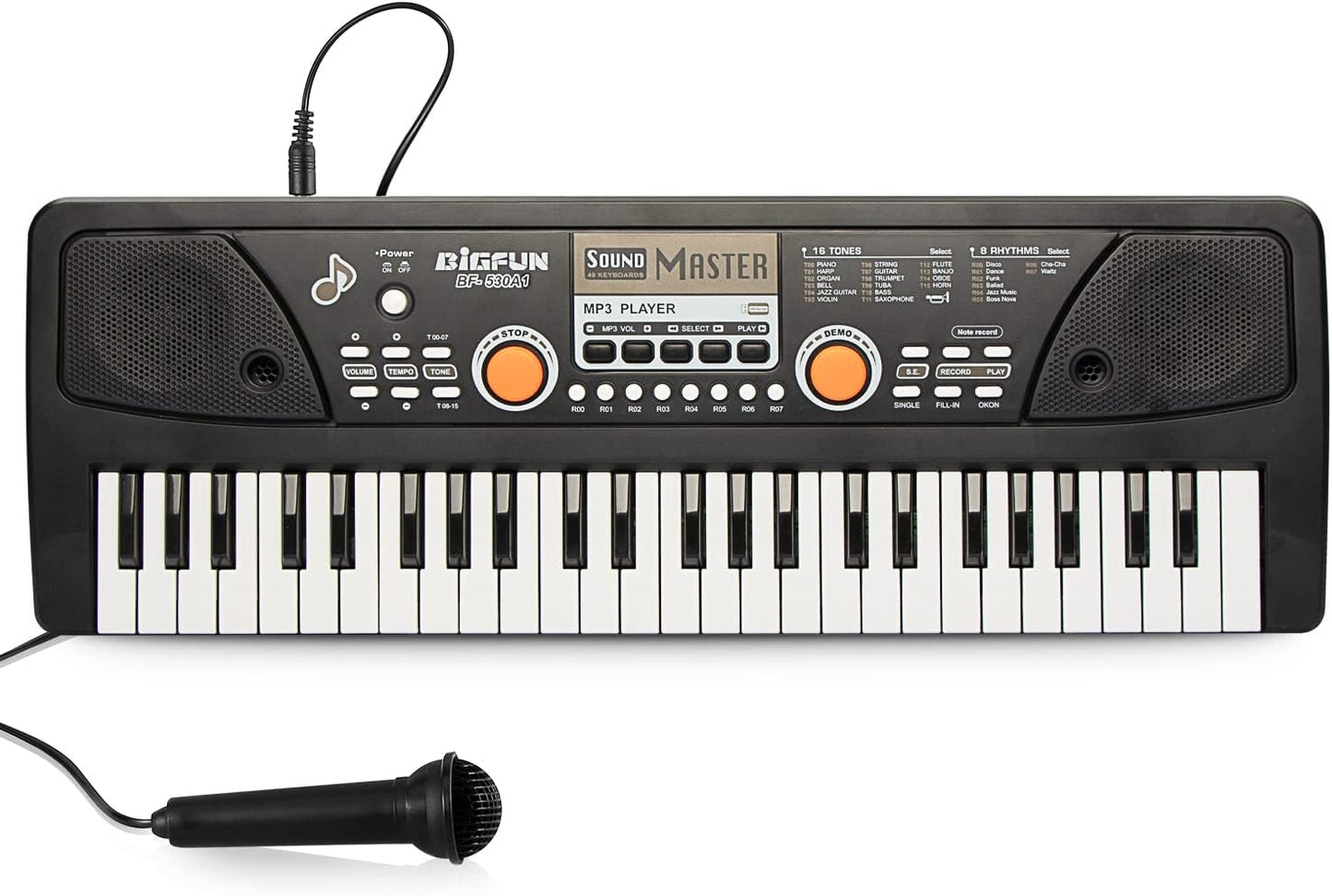 Raimy Piano Keyboard for Kids 49 Keys Portable Keyboard Piano Early Learning Educational Electronic Musical Instrument Toys Gifts for 3 4 5 6 7 8 9 Year Old Boys and Girls (Black)