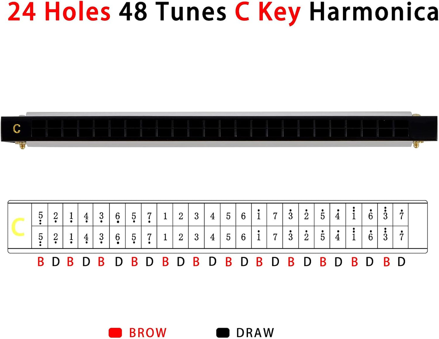 EastRock Blues Harmonica 24 Hole C Key with Case, Mouth Organ Harp, Diatonic Harmonica for Beginner, Adult, Professional, Students, Friends, Gifts