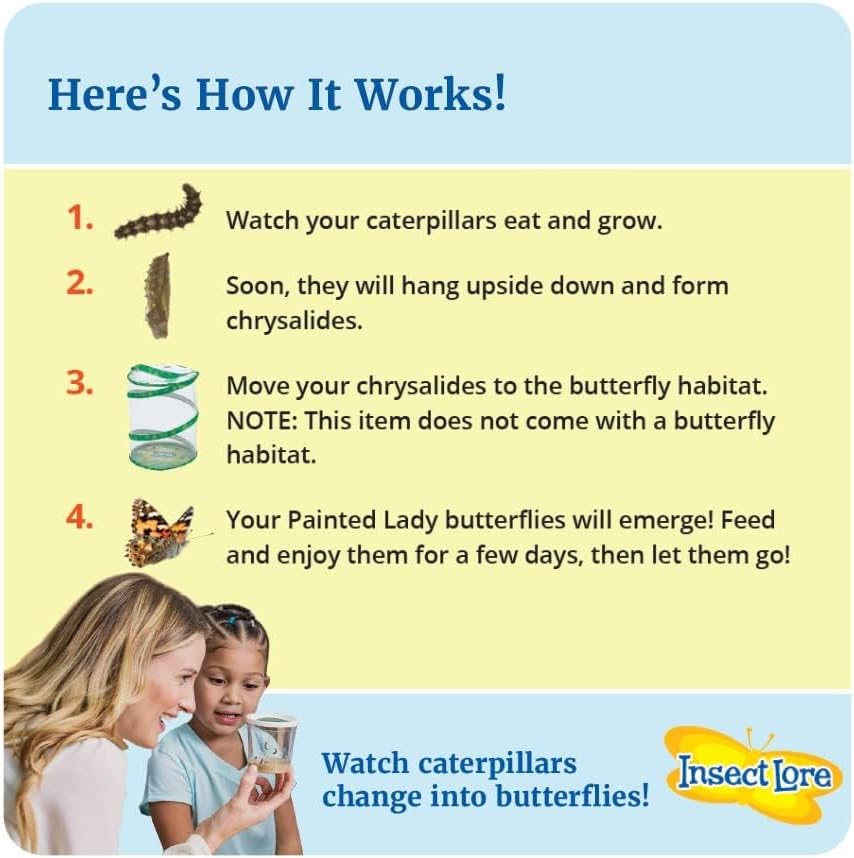 Insect Lore Two Cups of Live Caterpillars - 10 Live Painted Lady Caterpillars with Food - Includes Bonus Butterfly Life Cycle Figurines - Refill for Butterfly Garden Habitat