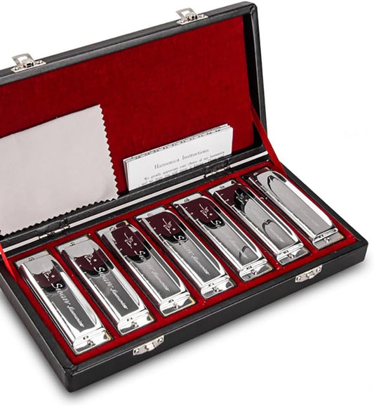 Swan Harmonica 10 Hole Blues Harmonica Set 7/12 Tone Set Suit Gift Box Mouth Organ Harmonica for Beginners Adluts (7 tone set)