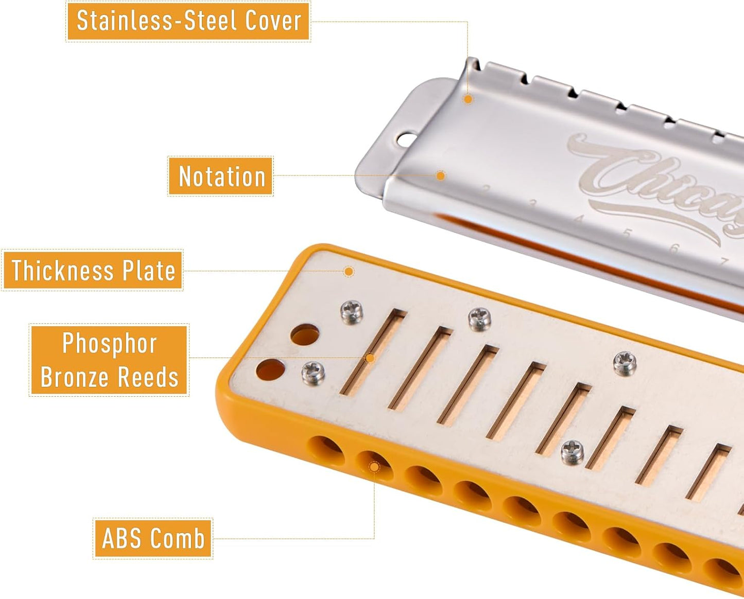 Harmonica JDR Blues key of E 10 Holes 20 Tones Harps Armonica for Adults Kids Professional Beginners Mini Mouth Organ with Case Chicago