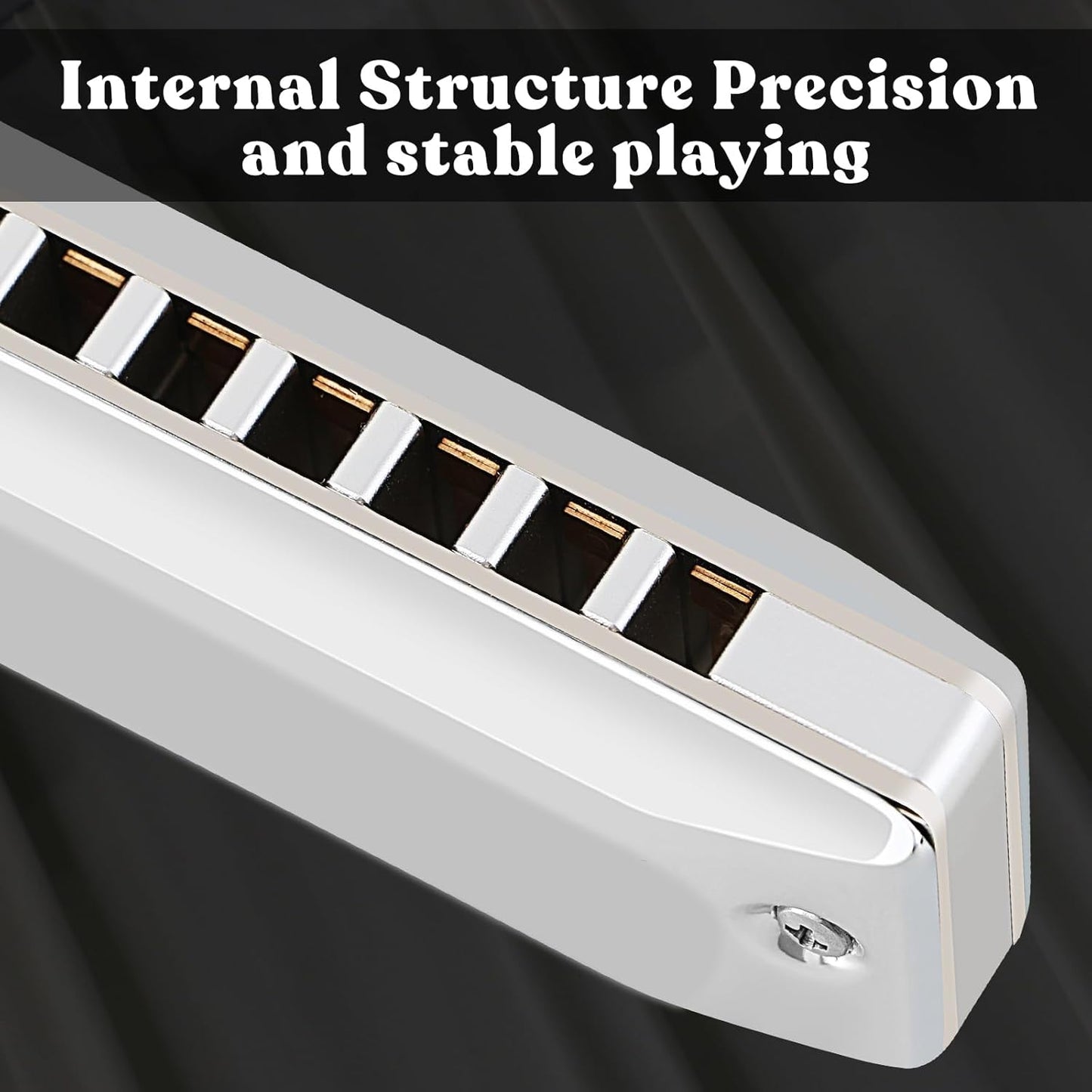 EASTROCK Professional Harmonica, Diatonic Mouth Organ, Key of C, for Adults & Students