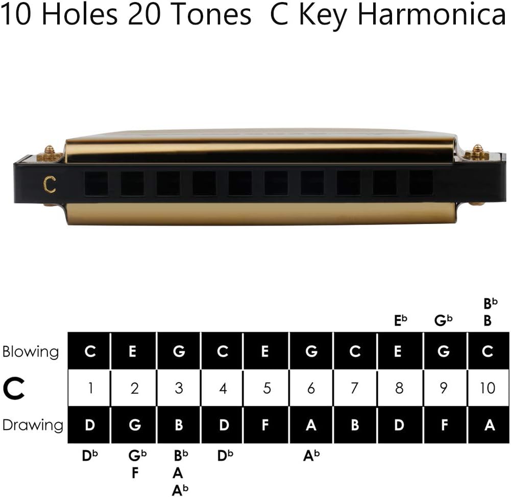 Randon Gold Harmonica Key of C, 10 Holes Diatonic Harmonicas for Adults/Kids/Beginners, Blues Harmonica as Gift, with Case, Clean Cloth and Manual