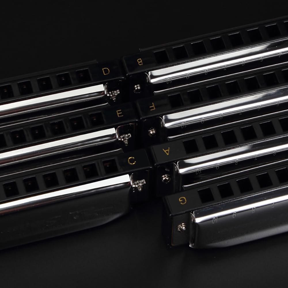 Swan Harmonica 10 Hole Blues Harmonica Set 7/12 Tone Set Suit Gift Box Mouth Organ Harmonica for Beginners Adluts (7 tone set)