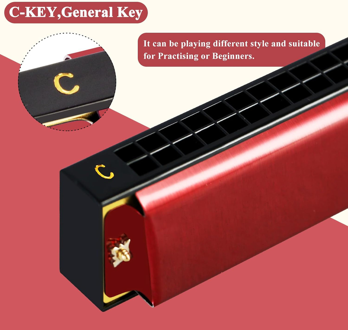 EastRock Blues Harmonica 24 Hole C Key with Case, Mouth Organ Harp, Diatonic Harmonica for Beginner（Red)