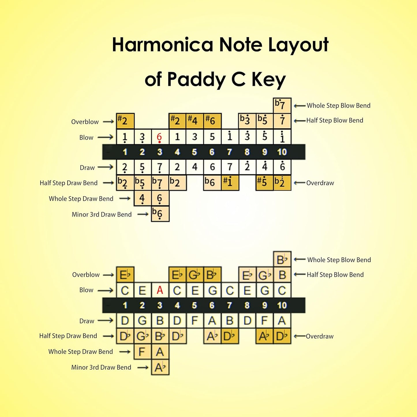 Blues Harmonica of C Key in Paddy Tuning, Mouth Organ with low A La, Reed of Phosphor Bronze, ABS Combo, Easy-Clean Cover,10 Holes Blues Harp for Adult, Beginner