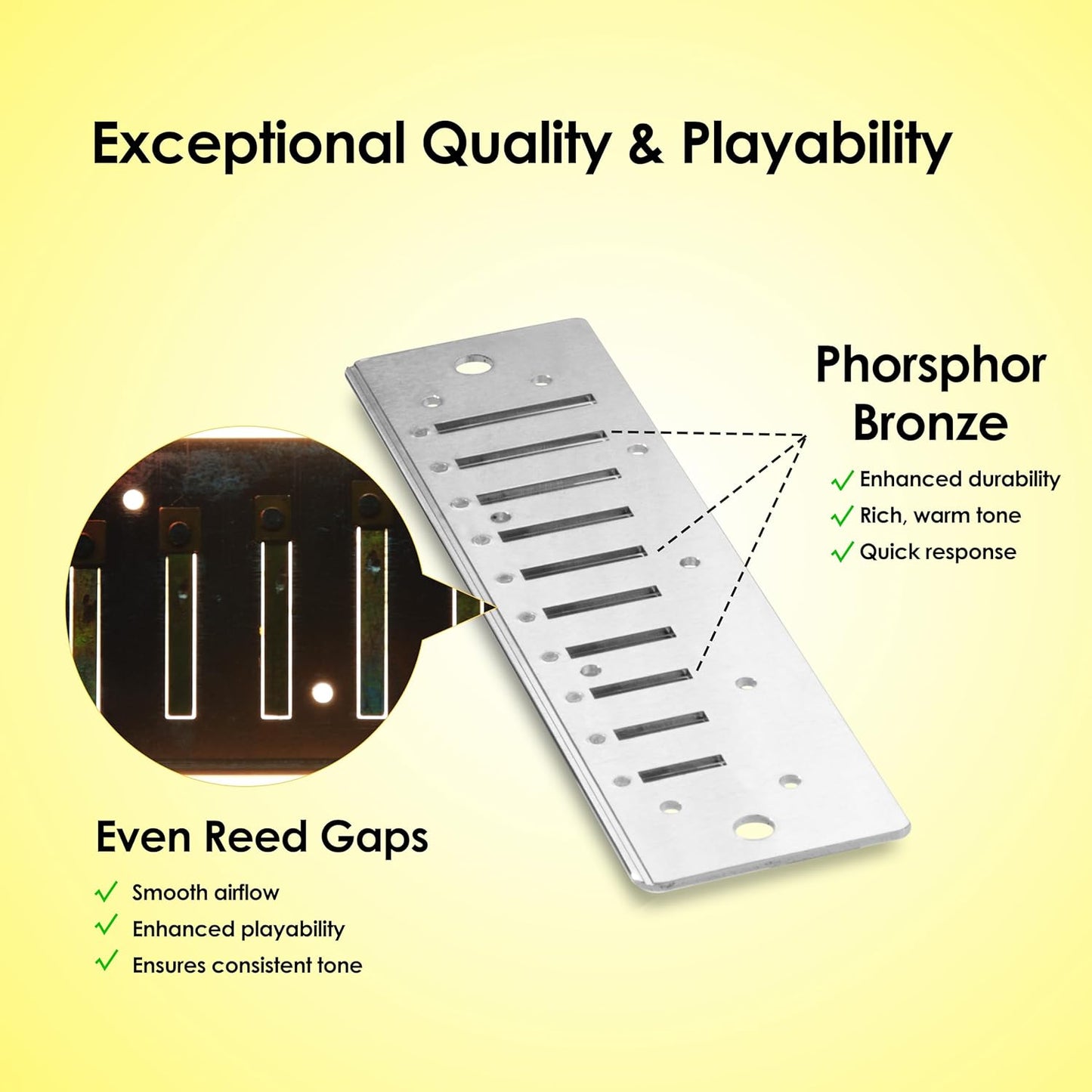 Blues Harmonica of C Key in Paddy Tuning, Mouth Organ with low A La, Reed of Phosphor Bronze, ABS Combo, Easy-Clean Cover,10 Holes Blues Harp for Adult, Beginner