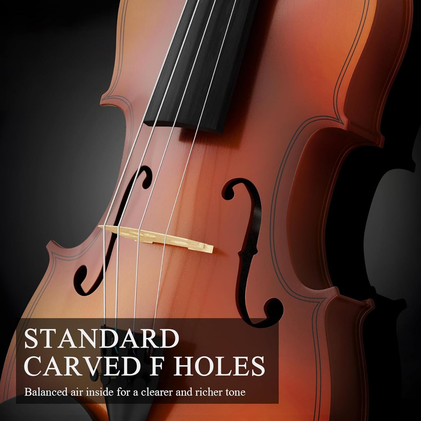 4/4 Beginner Violin Kit for Adults, Complete Full Size Violin Set with Portable Case, Bow, Rosin, Natural