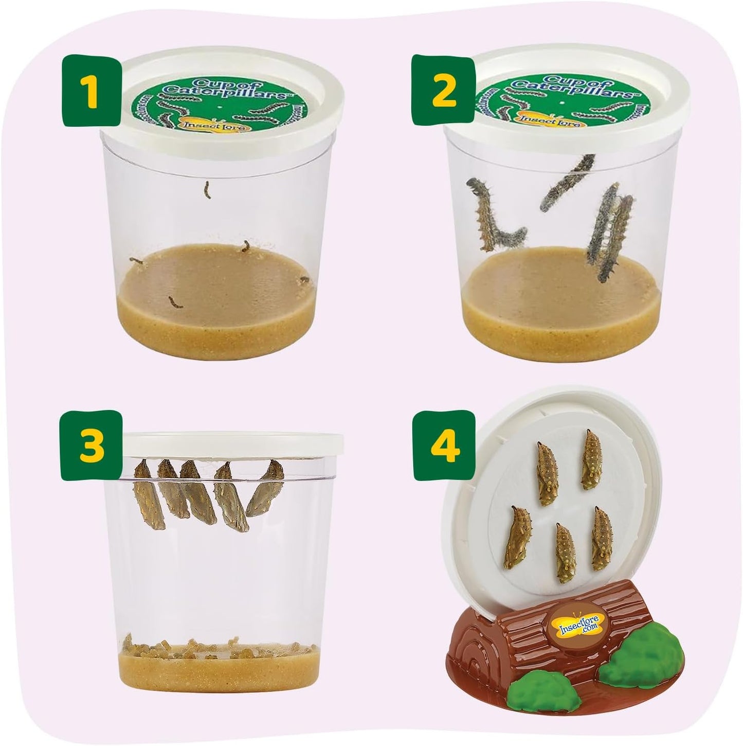 Insect Lore Cup Caterpillars - 5 Live Painted Lady Caterpillars with Food - Includes Figurines - Refill Kit for Butterfly Garden Habitat - STEM Science Activity for Kids and Classrooms