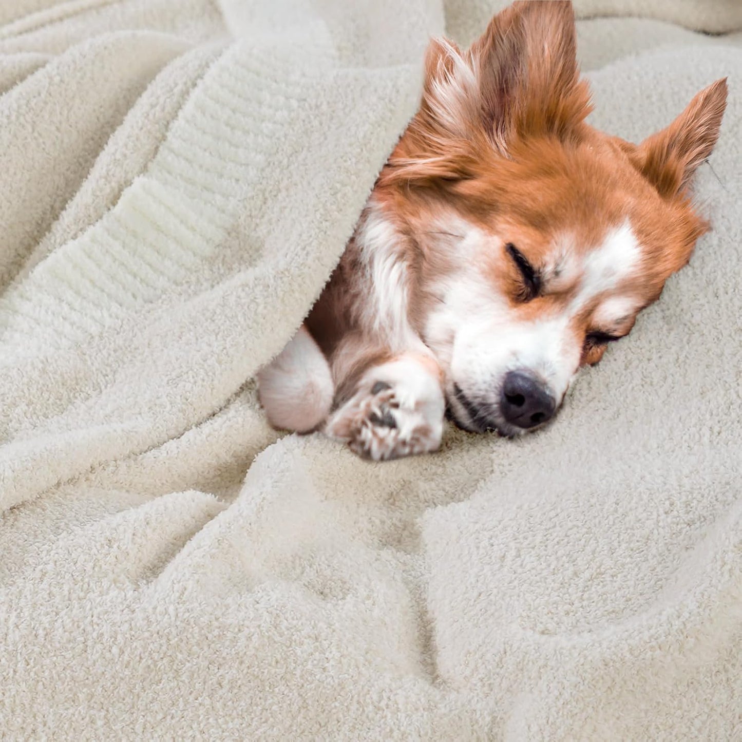 NNEXHOME PRO Soft Blanket for Women, Cozy Blanket Warm Reversible Knit Lightweight Throws for Sofa Bed, Picnic, Heather Ivory, Twin Size 60 x 80 inches