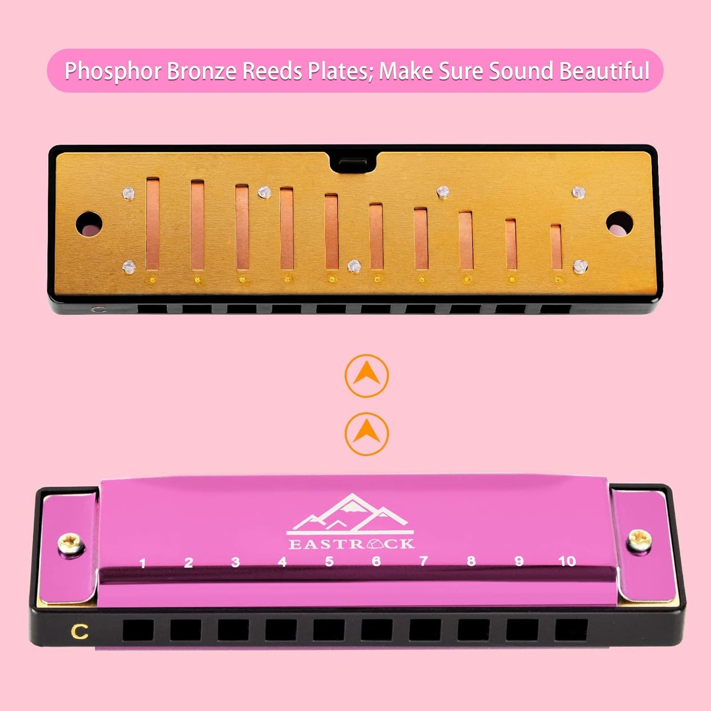 EastRock Blues Harmonica Mouth Organ 10 Hole C Key with Case, Diatonic Harmonica for Professional Player, Beginner, Students gifts, Adult, Friends, Gift(Pink）)