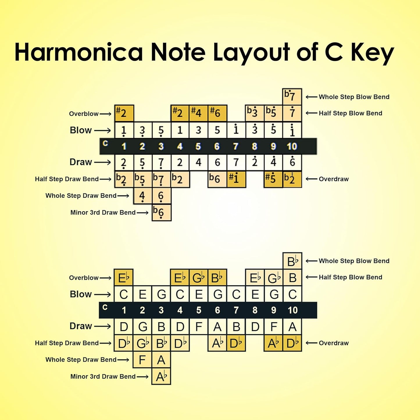 Diatonic Harmonica of C Key,Blues Mouth Organ 10 Holes 20 Tones, Reed of Phosphor Bronze, ABS Combo, Easy-Clean Cover,10 Holes Blues Harp for Adult, Beginner
