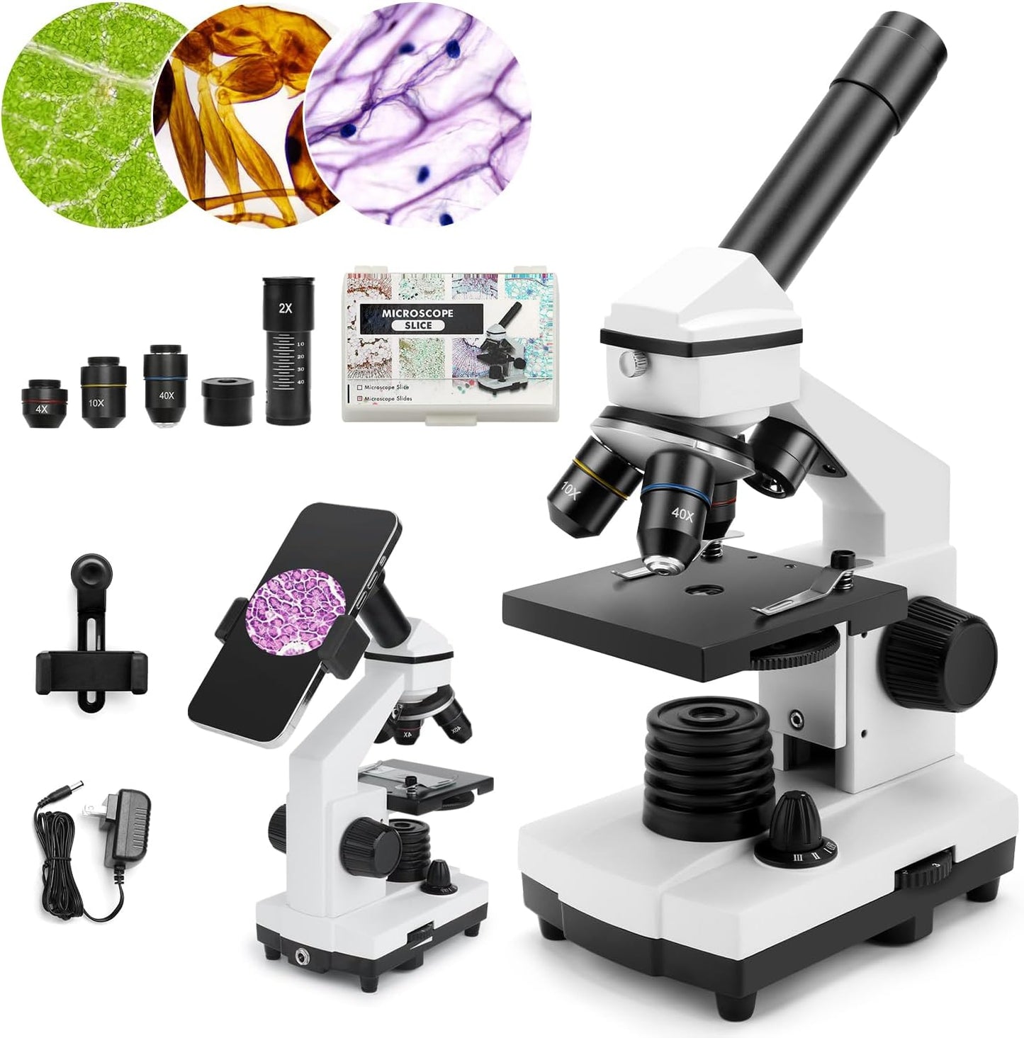 Microscope for Adults Kids, Dcorn 100X-2000X Powerful Biological Microscopes for School, Home, and Lab Use, Includes Microscope Slides Set and Phone Adapter.