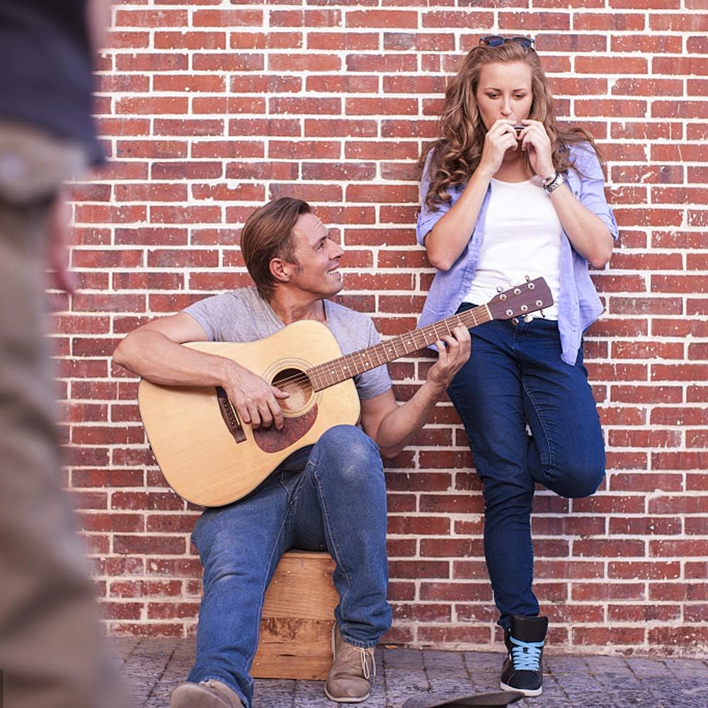 4PCS Key of C 10 Hole 10 Tones Titanium Color Harmonica with Case for Beginner Students Kids（Gold, Purple, Green, Blue）