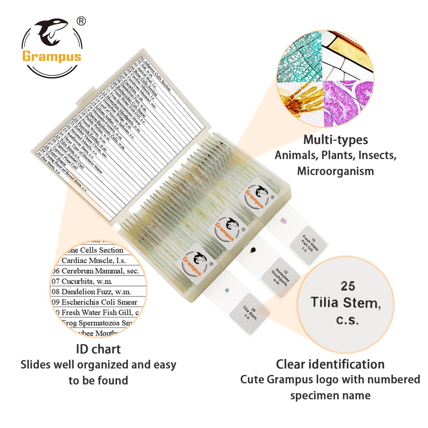30 Prepared Microscope Slides with Specimens for Kids Students - Animals Plants Insects Microorganism, for Biological Science Lab, Children's Science Education, Homeschool