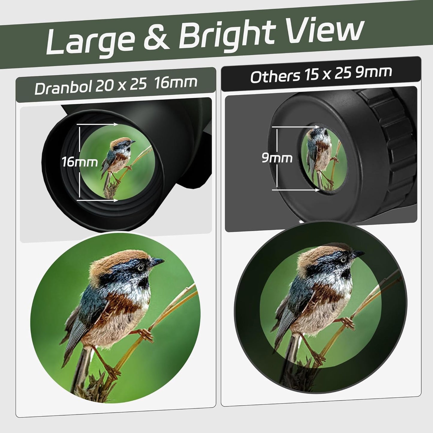 20X25 Small Binoculars for Adults and Kids, Large Eyepiece Binoculars for Bird Watching Easy Focus, Pocket High Powered Opera Glasses for Concert, Cruise Ship, Travel Must Have