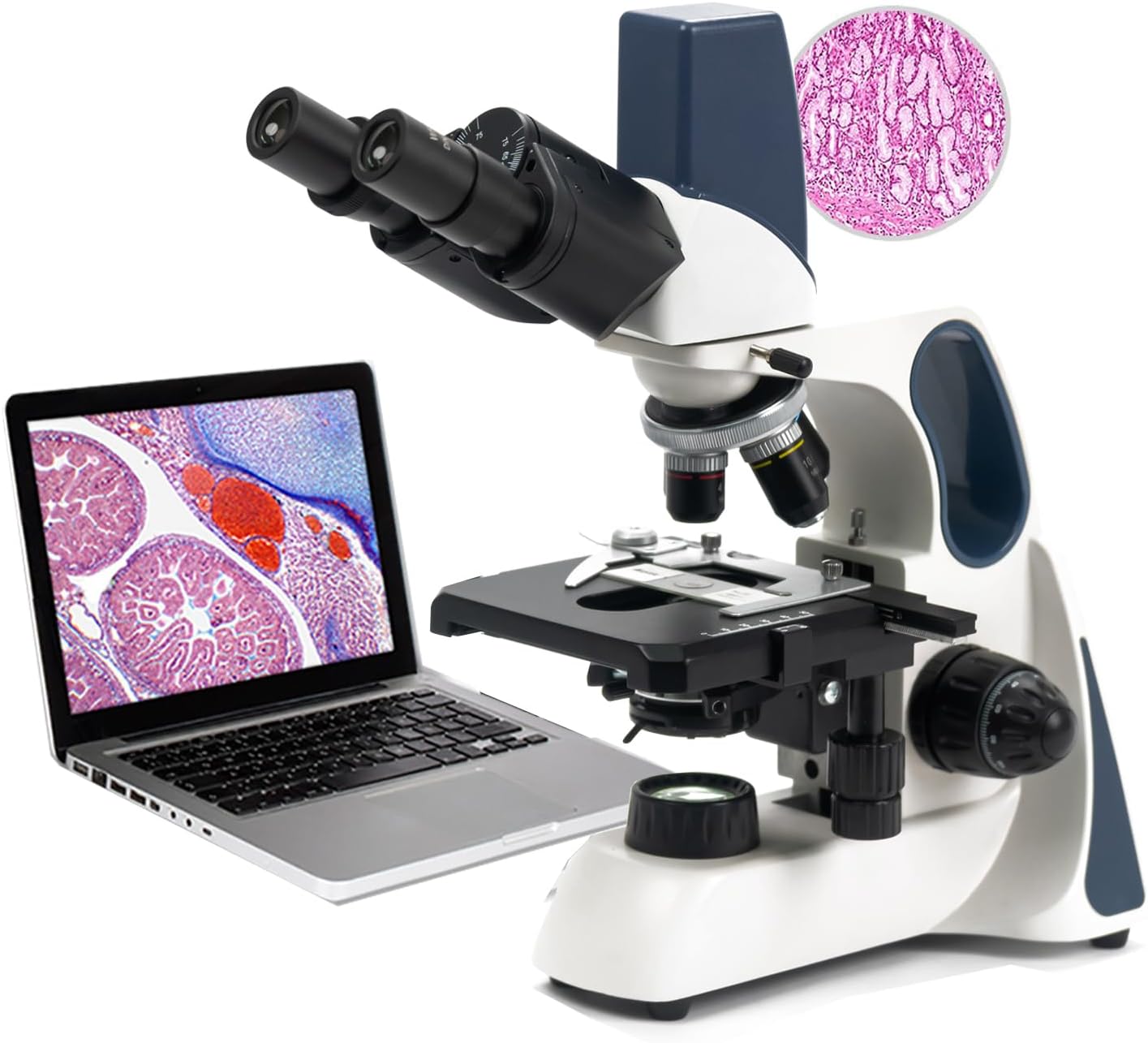 SWIFT Student Professional LED Binocular Compound Microscope with a Built-in 3MP Digital Camera,Siedentopf Head,Research-Grade,Mechanical Stage,Ultra-Precise Focusing,3W LED for Adults Lab