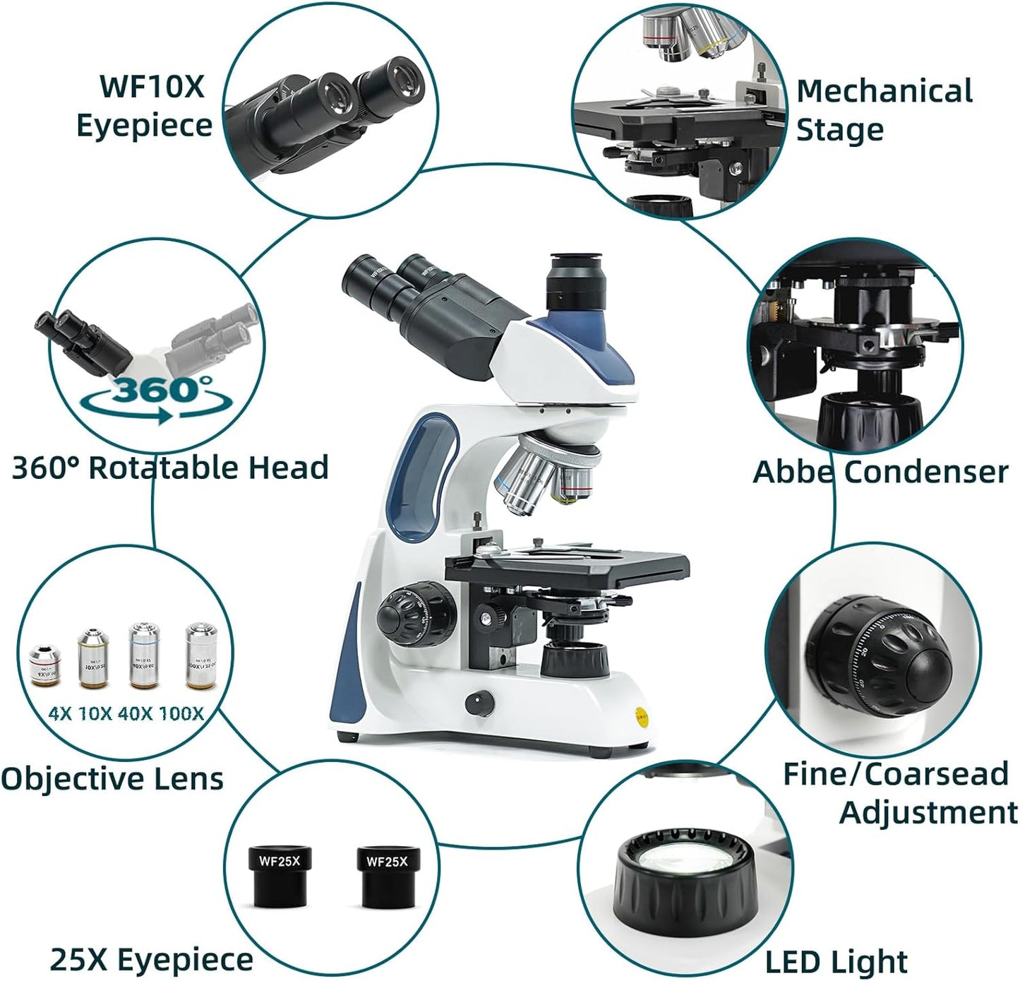 SWIFT SW400 Infinity-Corrected Trinocular Compound Microscope, 40X-2500X, Wide-Field 10X/25X Eyepieces, Infinity Achromatic Objectives, Brightfield, Double-Layer Mechanical Stage