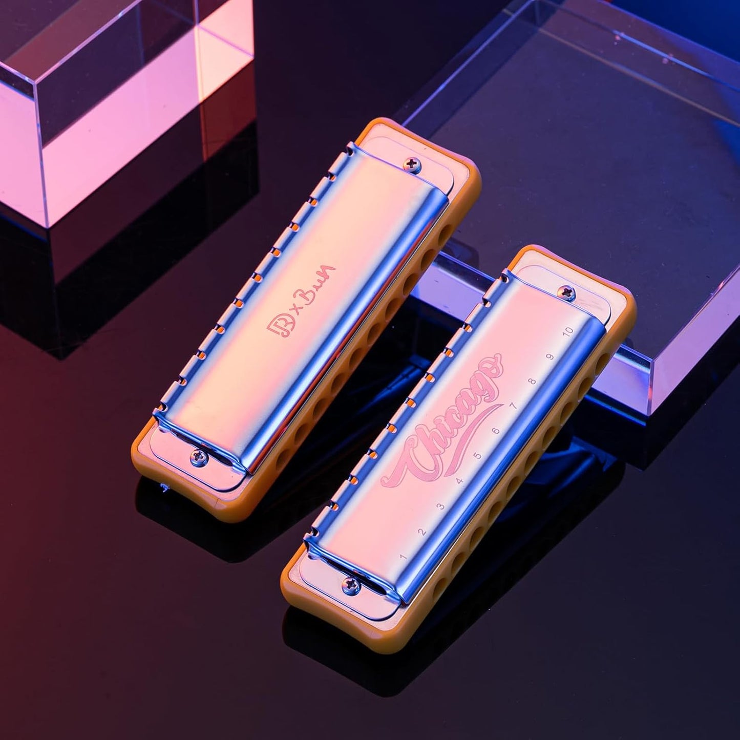 Harmonica JDR Blues Key of G 10 Holes 20 Tones Harps Armonica for Adults Kids Professional Beginners Mini Mouth Organ with Case Chicago