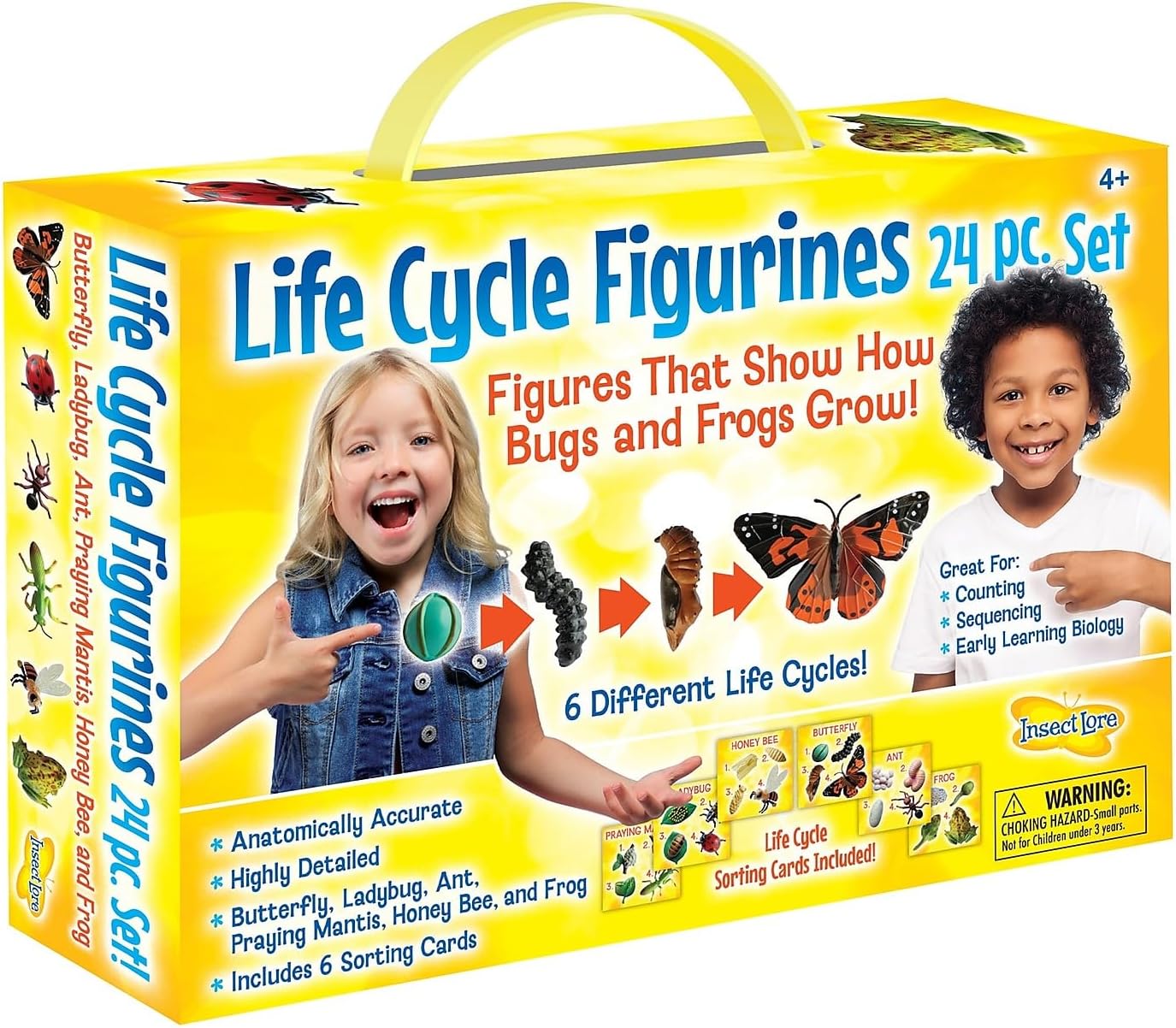 Insect Lore's Life Cycle Figurines 24 Pc Set | Butterfly, Ladybug, Frog, Honey Bee, Ant and Praying Mantis | 4 Stages Per Insect, 24 Figurines Total