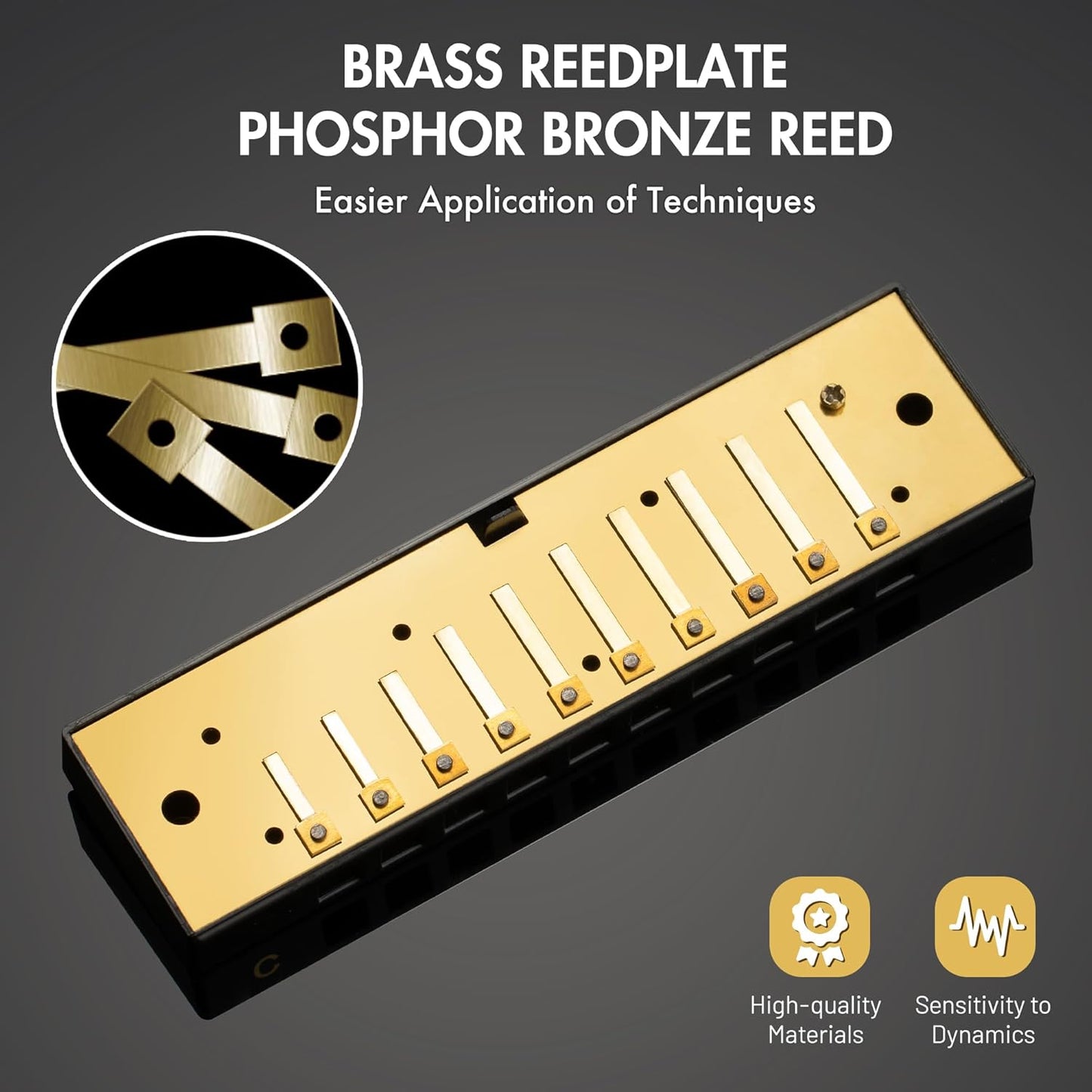 CONJURER Blues Harmonica for Beginners, 10 Hole D Key Diatonic Blues Harp with Stainless Steel Cover & Phosphor Bronze Reeds, Professional Grade for Adults, Gifts (Silver D)