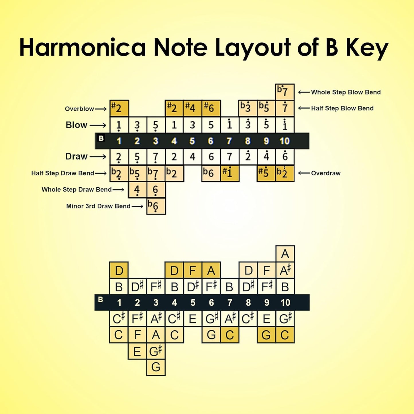 Diatonic Harmonica of B Key,Blues Mouth Organ 10 Holes 20 Tones, Reed of Phosphor Bronze, ABS Combo, Easy-Clean Cover,10 Holes Blues Harp for Adult, Beginner