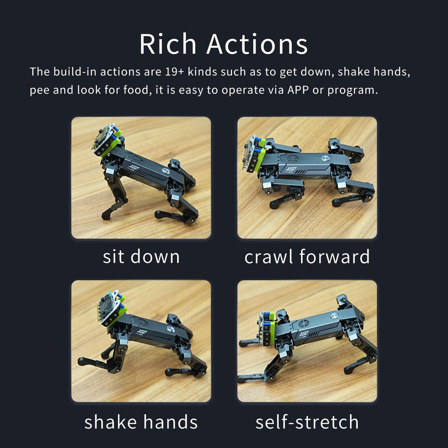 ELECFREAKS microbit Robotic Dog Xgo Kit, 12 Movable Joint DIY Programmable Full Metal Bionic Robot Kit, STEM Educational Project for Open Source Hardware(Without Micro:bit)