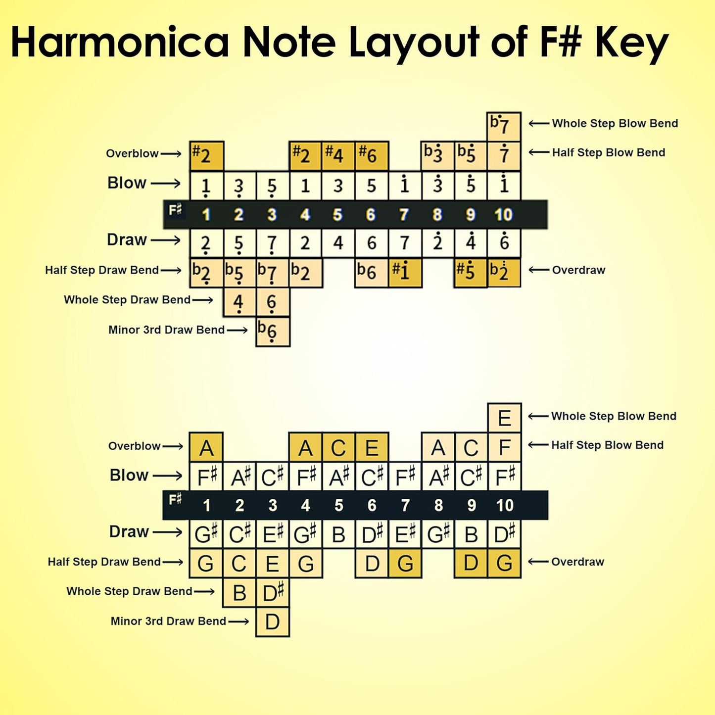Diatonic Harmonica of F sharp Key,Blues Mouth Organ 10 Hole 20 Tones, Reed of Phosphor Bronze, ABS Combo, Easy-Clean Cover,10 Hole Blues Harp for Adult, Beginner