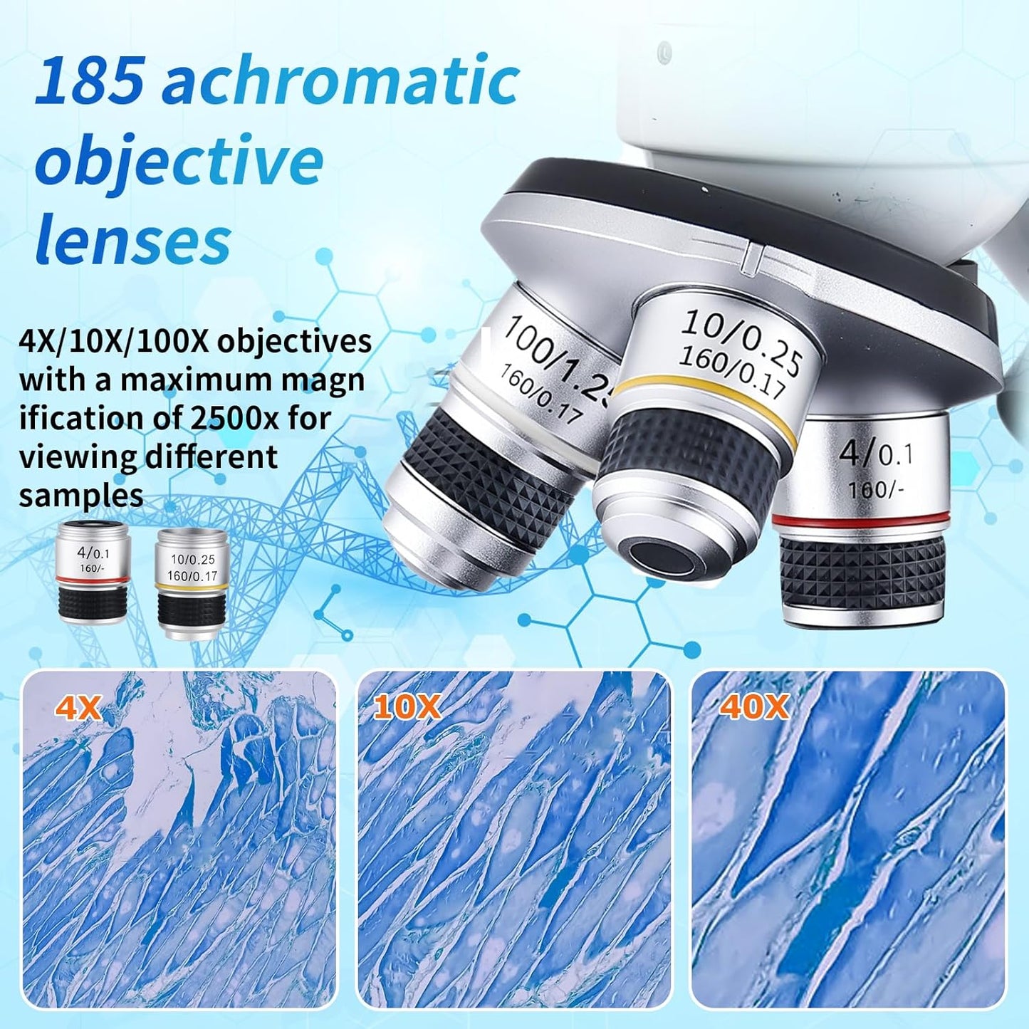 Microscope Magnification 40X-2500X WF25x Eyepieces, Dual LED Illumination, Microscope for Adults, Binocular Microscope for Schools, Homes, Labs, Education