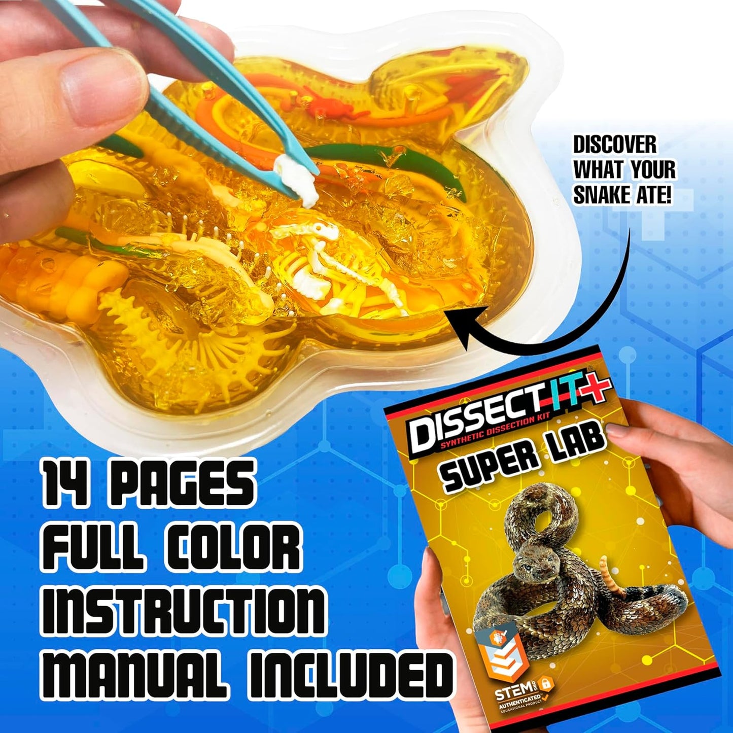 Rattlesnake Super Lab Dissect It Kit for Kids, Synthetic Dissection Kids Science Kit to Learn Biology, STEM Toys for 6 Year Old and Up